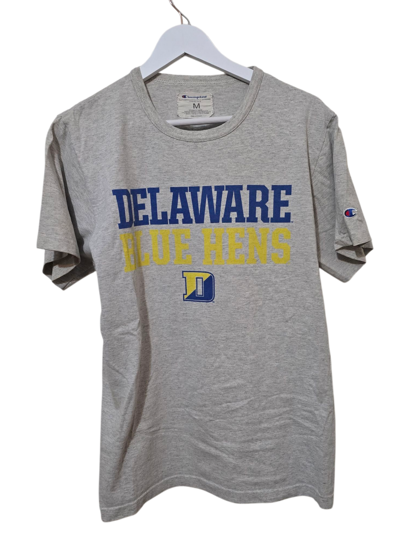Y2K Vintage Champion Tee – Delaware Blue Hens Print | M