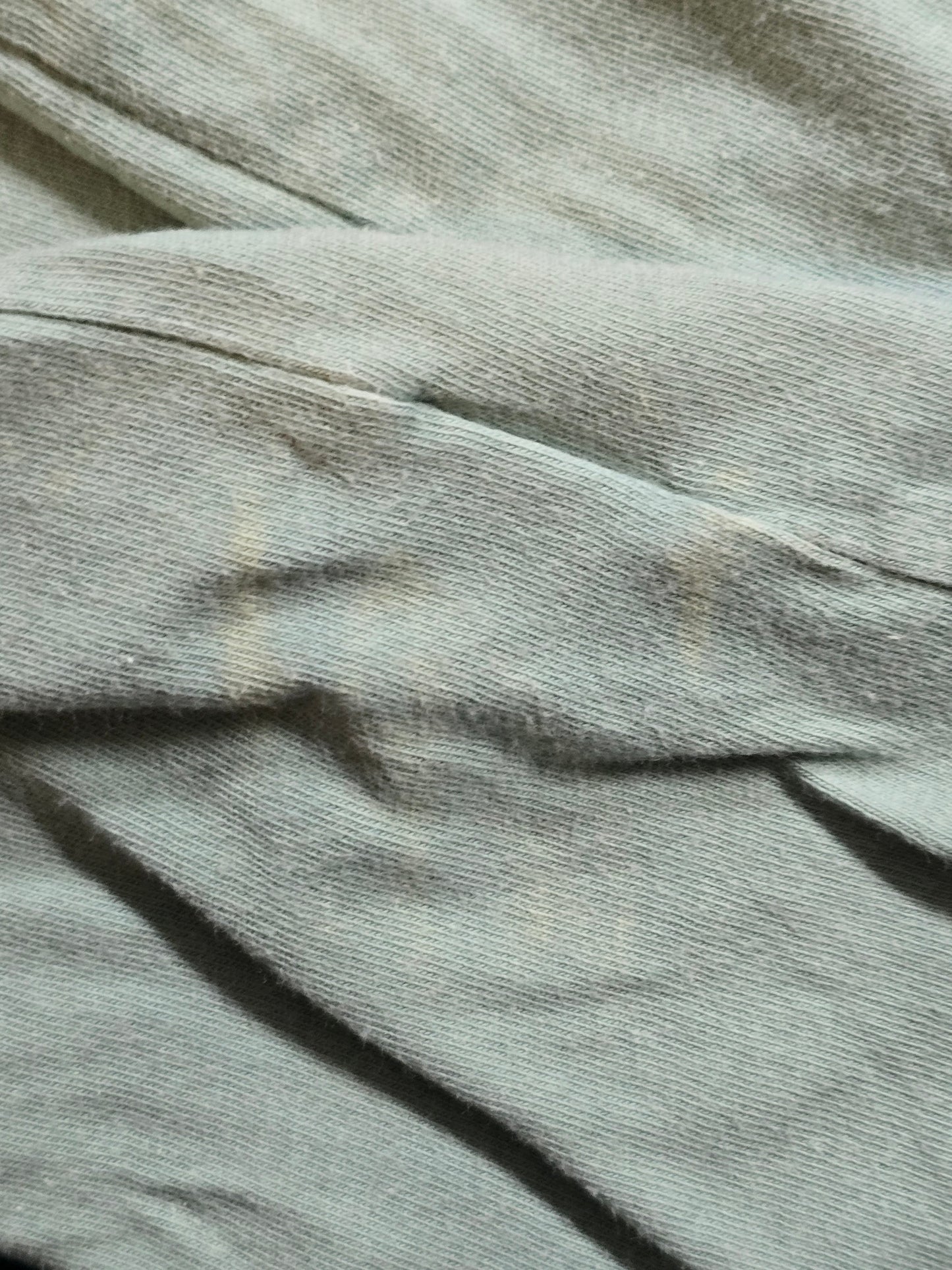 Adidas Trefoil T-Shirt – Regular Fit | M