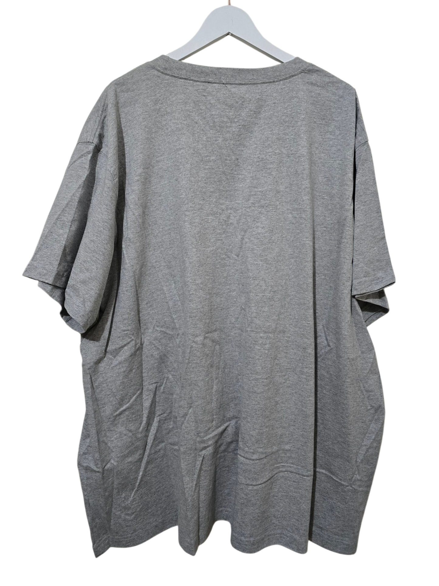 Dickies Heavyweight Tee | 5XL Boxy Fit💜✨ Neu